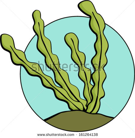 Seaweed Clipart-seaweed clipart-7