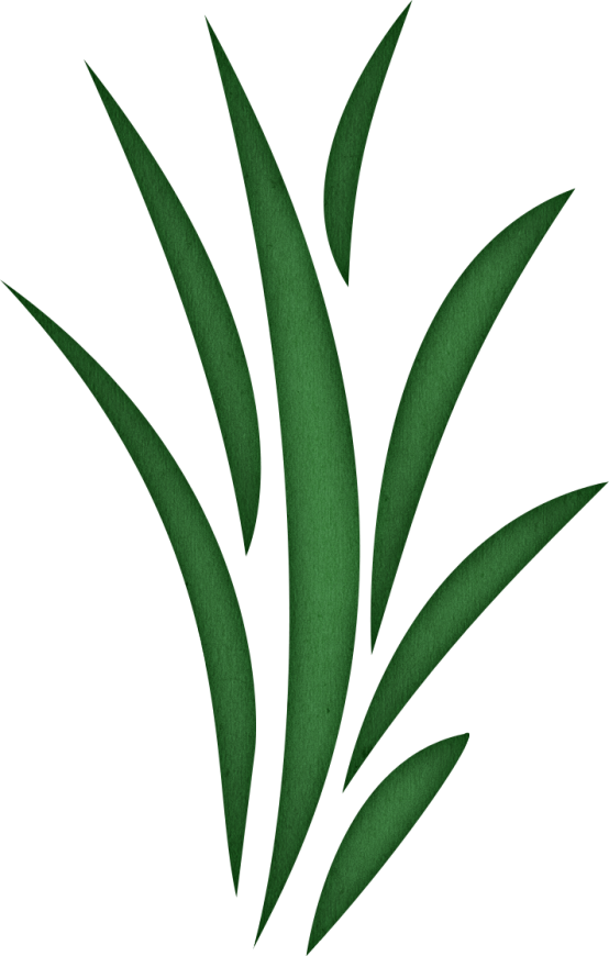 Seaweed Clipart - ClipArt Best-Seaweed Clipart - ClipArt Best-11