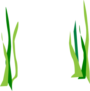 ... Seaweed Clipart ...-... Seaweed Clipart ...-15