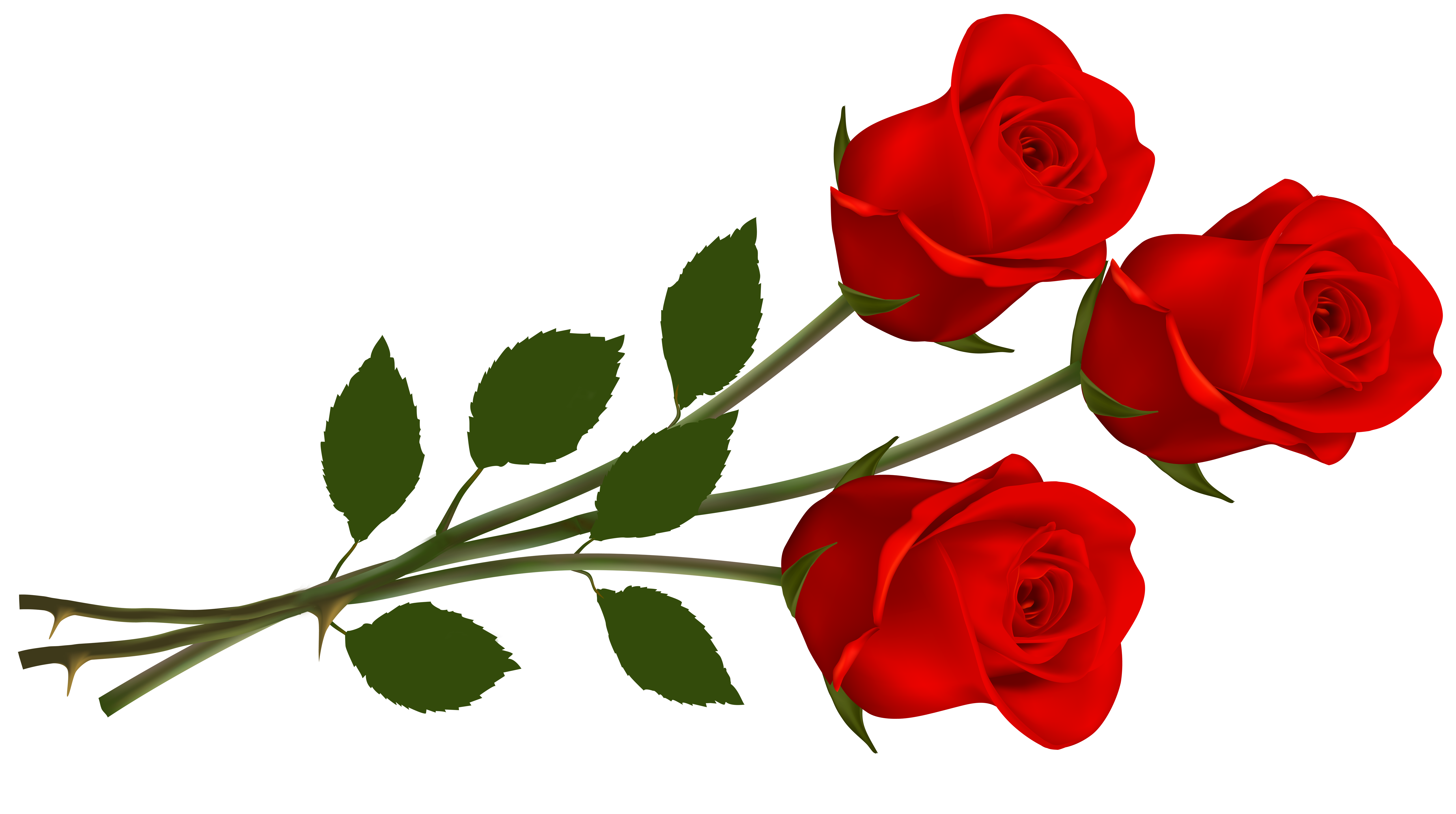 Single Red Rose Clipart - ClipartFest-Single red rose clipart - ClipartFest-17