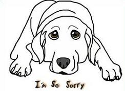 Sorry Dog-sorry dog-18