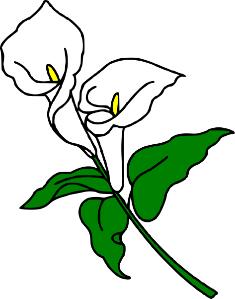 Sympathy Clipart Lilies Png-Sympathy Clipart Lilies Png-14