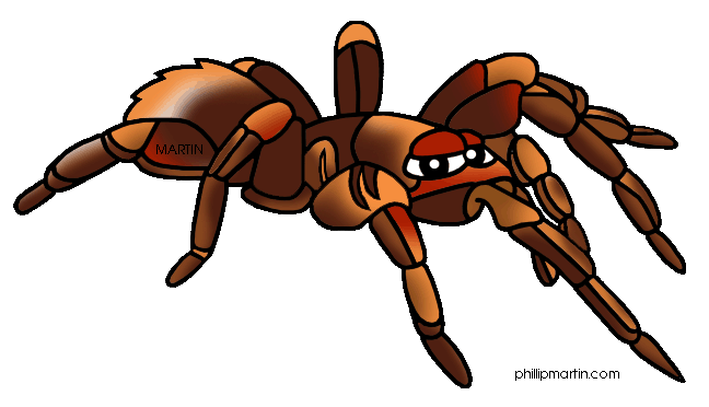 Tarantula Gifs - ClipArt Best. Tatantula-Tarantula Gifs - ClipArt Best. Tatantula-11