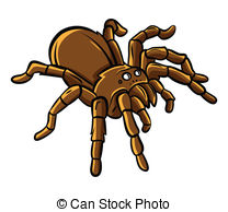Tarantula Stock Illustrationsby Digitals-Tarantula Stock Illustrationsby Digitalstudio3/632; Tarantula-14
