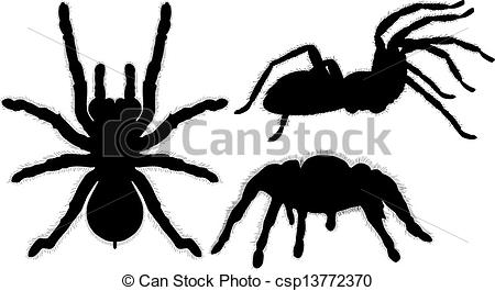 Tarantula-Tarantula-15