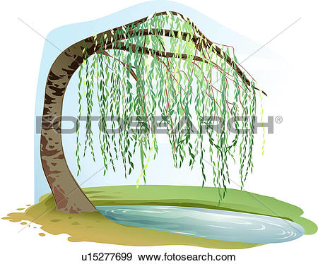 Trees, Tree, Plants, Puddle, Willow, Tre-trees, tree, plants, puddle, willow, tree, plant. ValueClips Clip Art-7