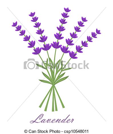 Vector Stock Illustrationby Megapixelina-Vector Stock Illustrationby Megapixelina24/1,848; Lavender flowers bouquet. Vector illustration-19
