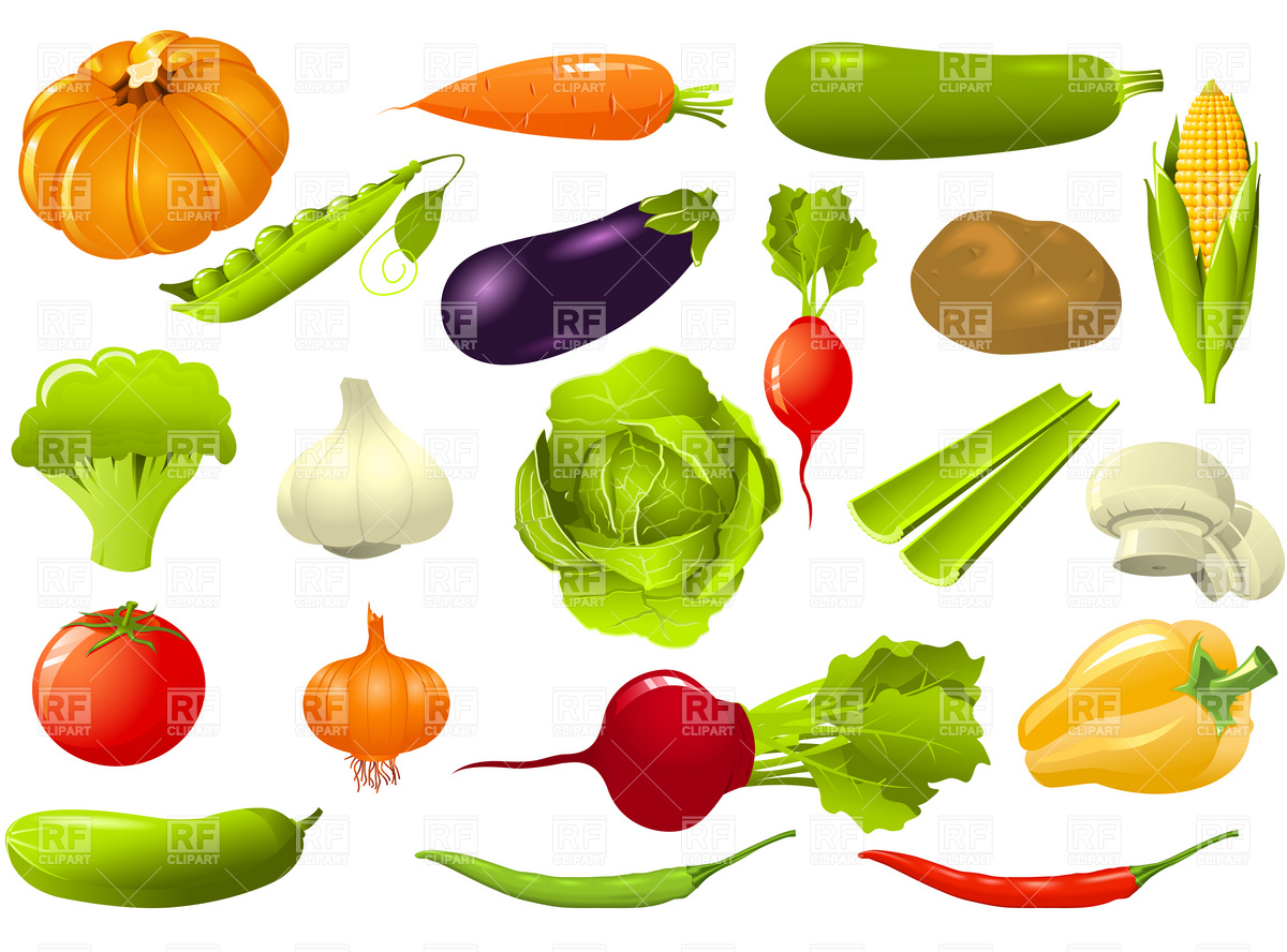 Vegetable Clipart Vegetables Set Cucumbe-Vegetable Clipart Vegetables Set Cucumber-8