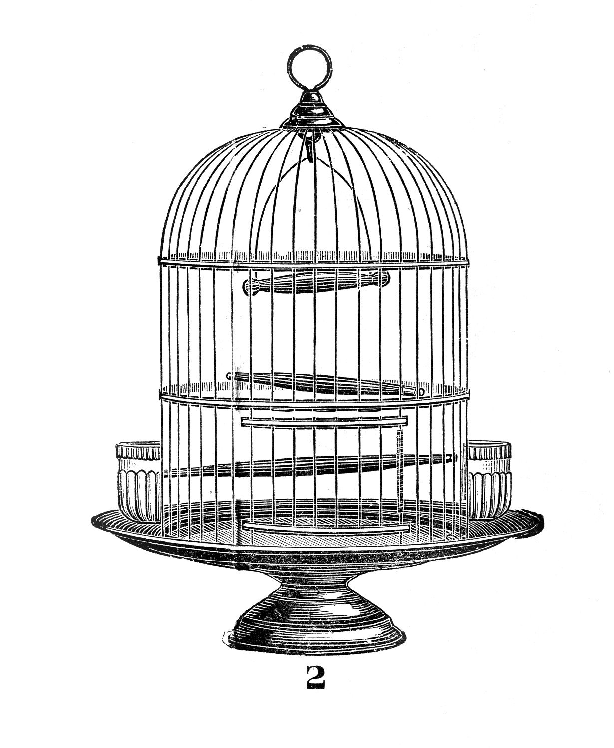 Vintage Clip Art U2013 Victorian Bird Ca-Vintage Clip Art u2013 Victorian Bird Cage-18