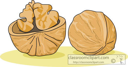 Walnut Clipart