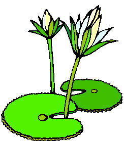 Clipart Info-Clipart Info-3