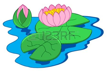 Pink Water Lilies - Vector Illustration.-Pink water lilies - vector illustration.-9