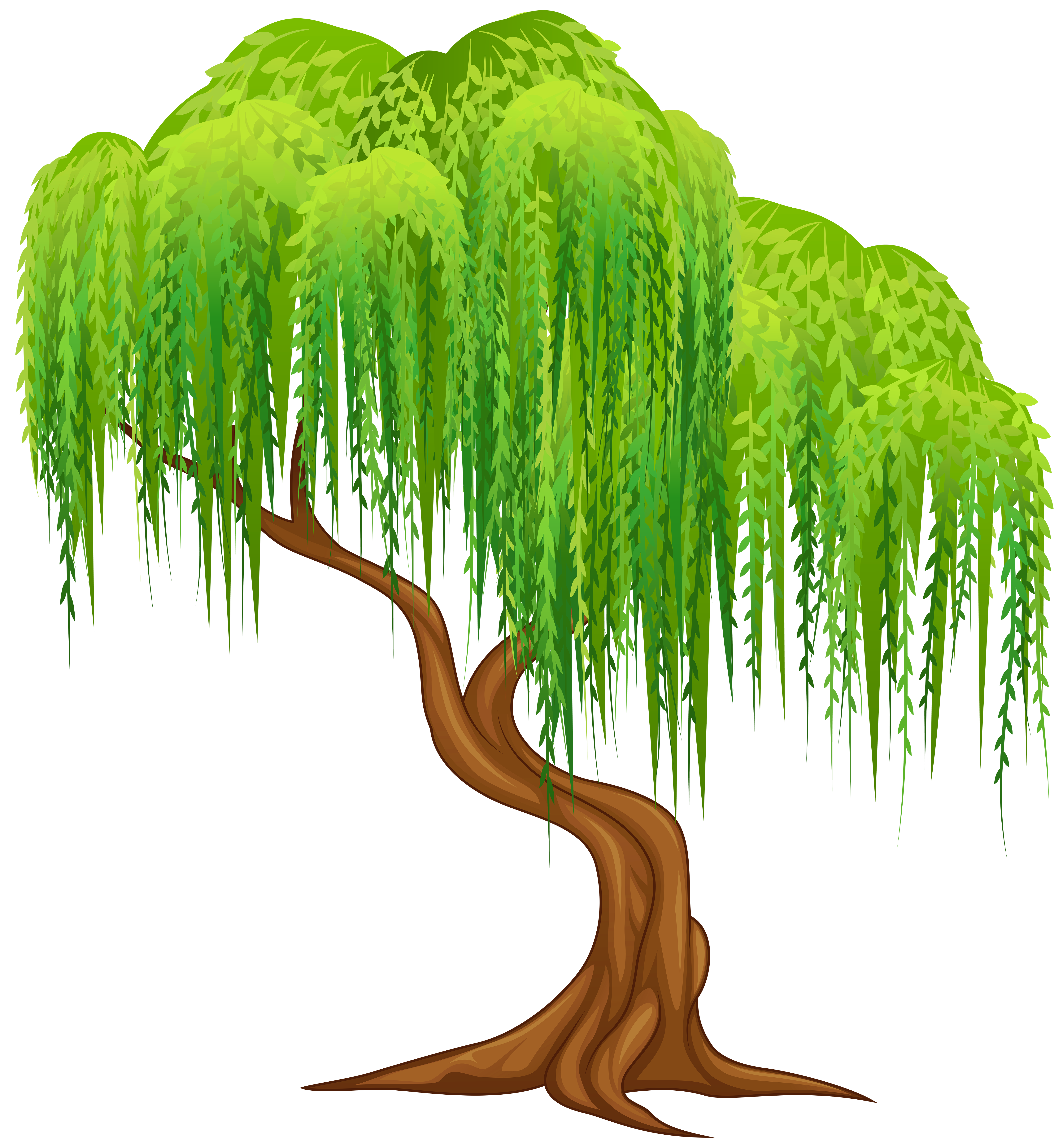 Willow Tree Clip Art-Willow Tree Clip Art-12
