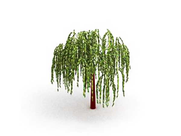 Willow Tree Clip Art-Willow Tree Clip Art-13