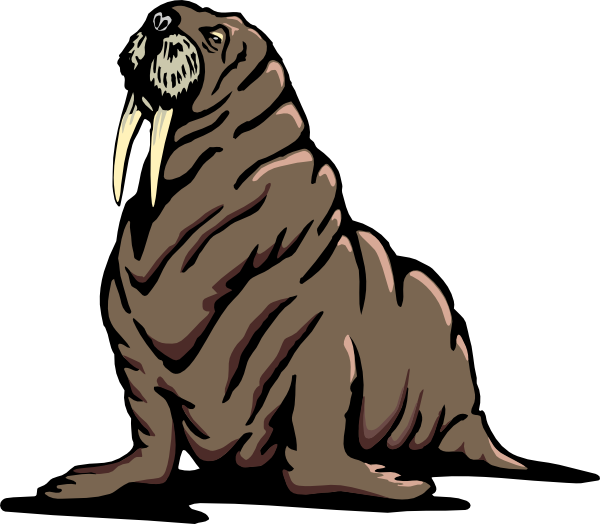 Wrinkled Walrus Clip Art At Clker Vector-Wrinkled walrus clip art at clker vector-18
