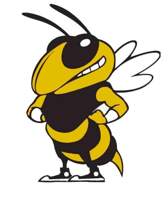 Yellow Jacket Clipart -yellow jacket clipart -11