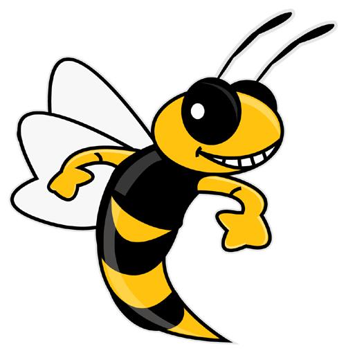 Yellow Jacket Clipart-Yellow Jacket Clipart-13