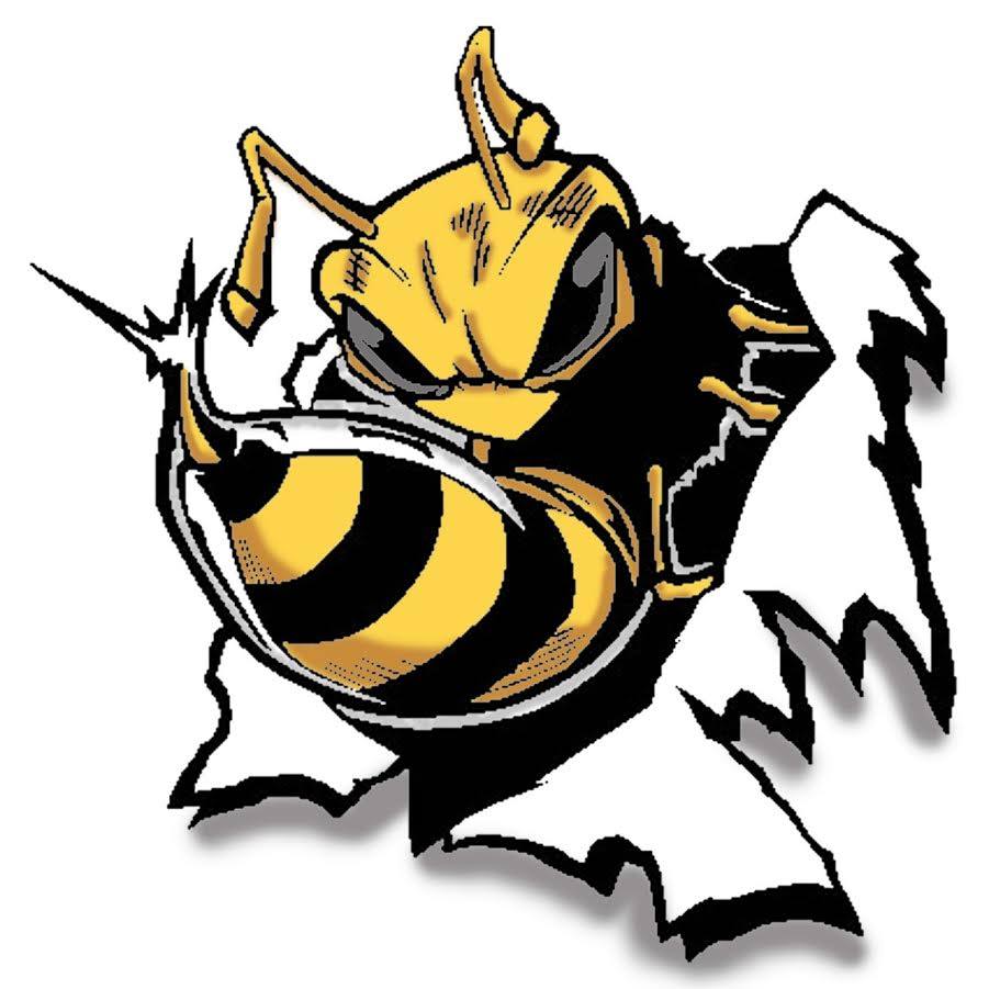 Yellowjacket Clipart Head ...-Yellowjacket clipart head ...-19